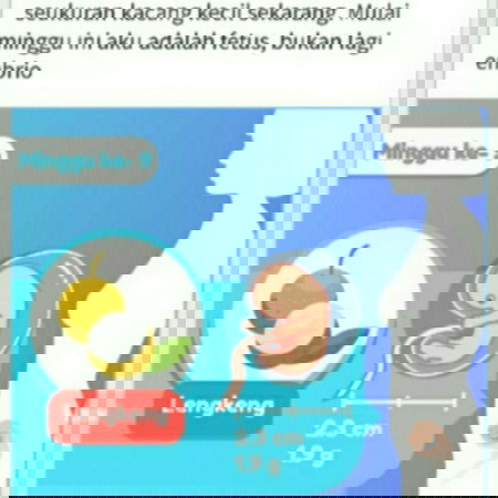 kehamilan