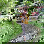 Sesrina Rahmadani profile icon