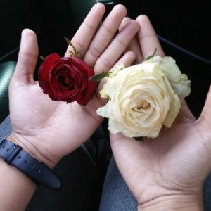 Elishandy Adlin profile icon