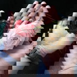 Elishandy Adlin profile icon