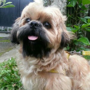 Pan Heisenberg profile icon