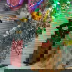 lia nurazizah profile icon