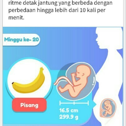 pisang