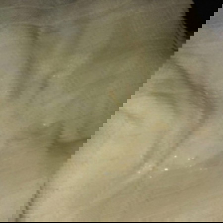 muntahan bayi berlendir