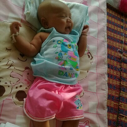 หมาน้อยของแม่