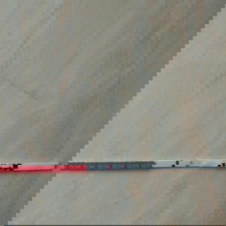 kehamilan