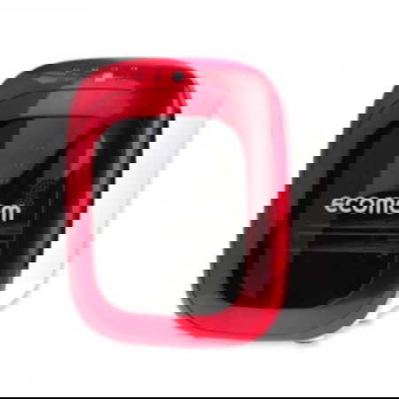 ecomom