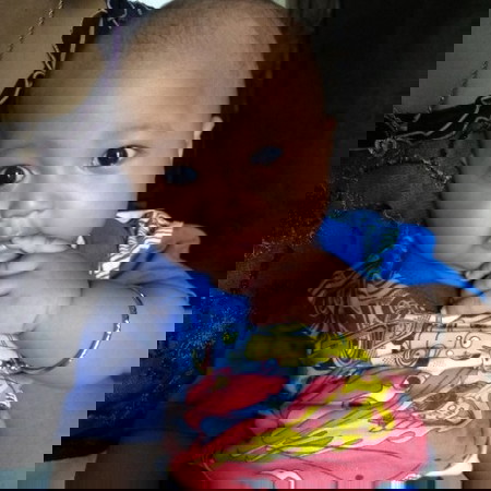 sebel