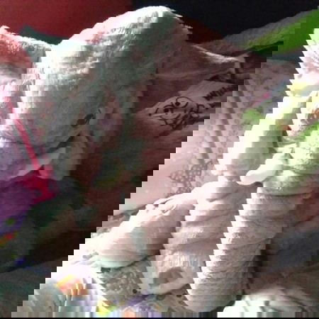 di jual Boneka Gajah