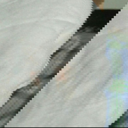 ฉี่สีสม