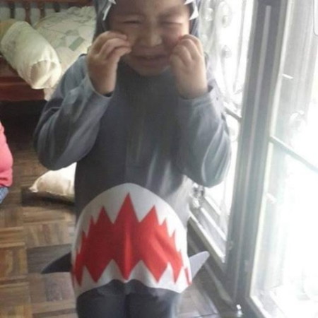 ฉลามน้อยพร้อมเล่นน้ำแล้วครับ