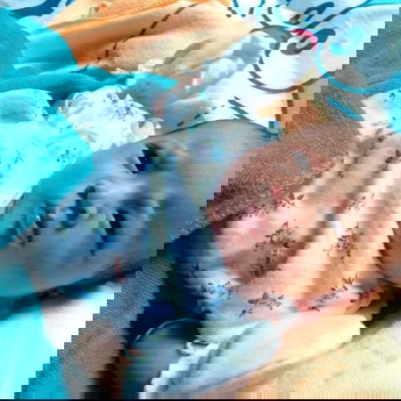 หลงเด็ก