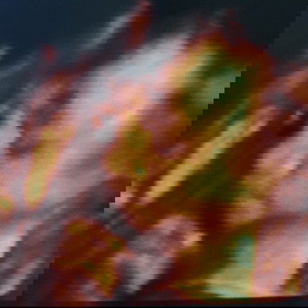 My natural pregnancy support system