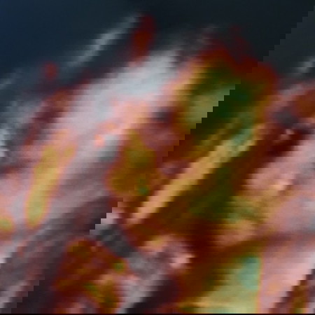 My natural pregnancy support system