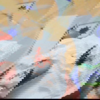 ตั้งท้องสามเดือน เมื่อวันที่ 18 ที่ผ่านมา  มีเลือดไหลซึมๆ  แบบติดชั้นใน