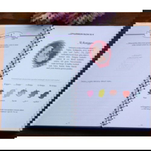 Buku Jurnal bayi, catatan bayi selama di perut sampai usia 2tahun