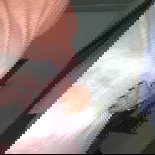 kenapa tidak mual seperti bumil yang lain