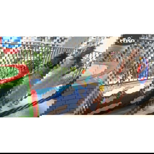 FREE Friso Playground Set