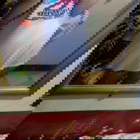 curious Lang po ako sa tyan ko???