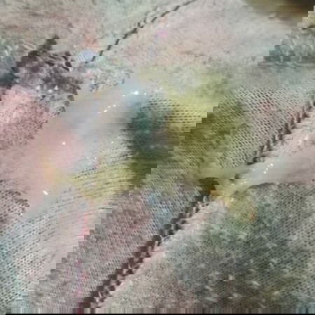 ตกขาวเเบบนี้ผิดปกติหรือไม่ค้ะ