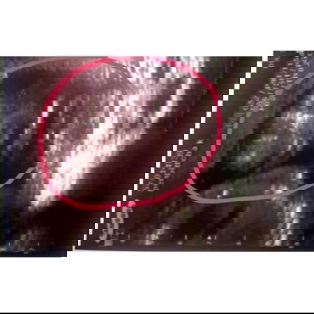 ..หน้าลูกชาย..