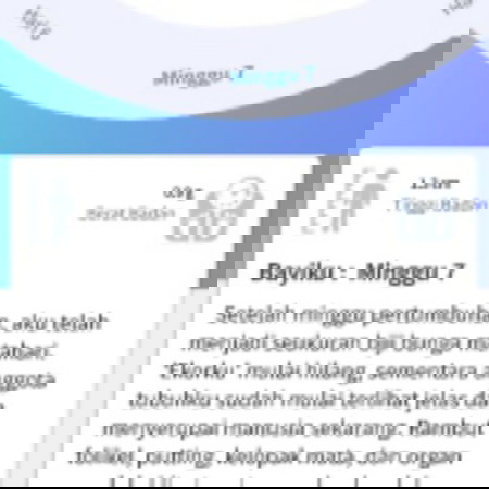 kehamilan