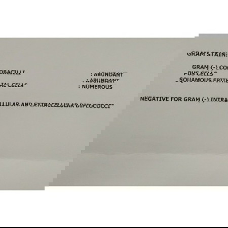 gramstaining result