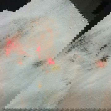 อาเจียนออกทั้งทางปาก และจมูก