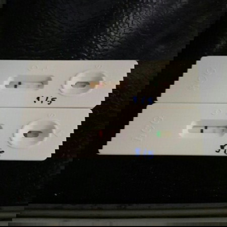 ตั้งครรภ์