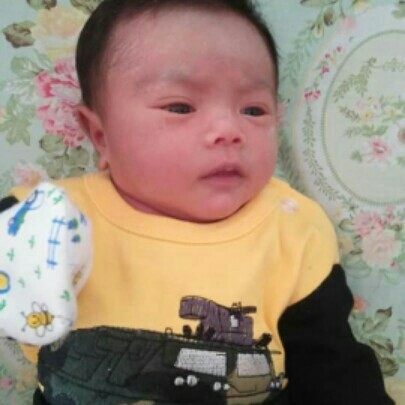 ciri baby ds