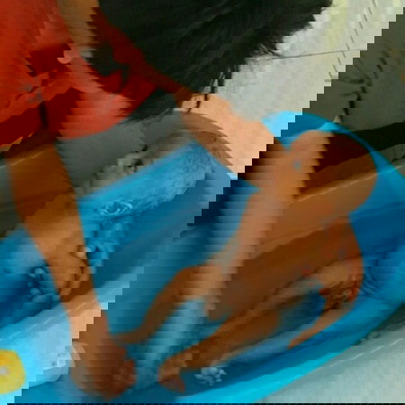 pahlawan dalam hidupku