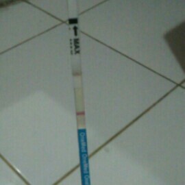 apakah ini pertanda hamil