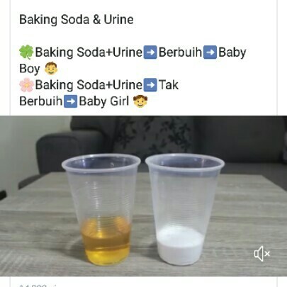 boy or girl?