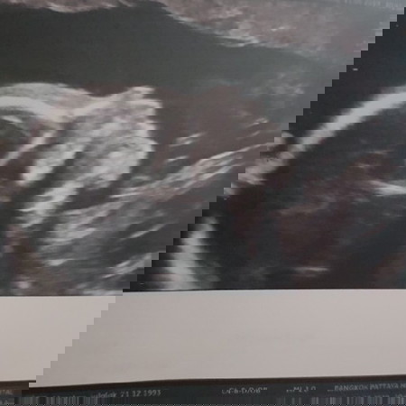 ลุ้นเพศ??♀️?♂️