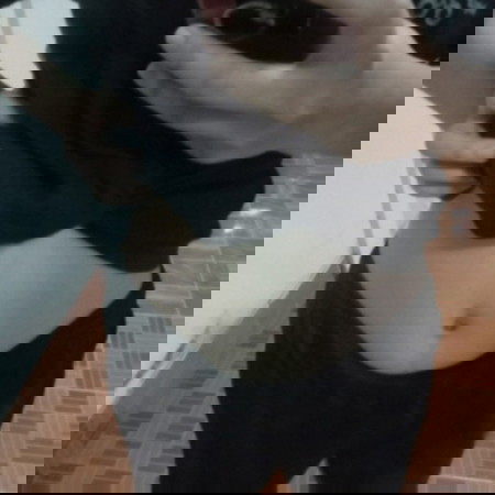 ปวดท้อง