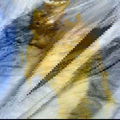 ถ่ายแบบนี้ปรกติมั้ยคับ