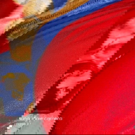 nafsu makan berkurang