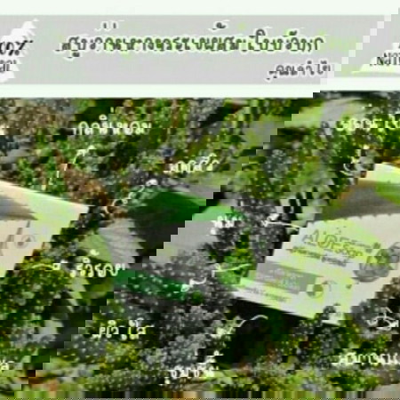 สบู่Alone Soap
