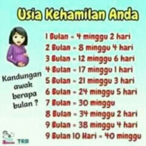 usia kehamilan