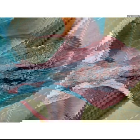 ประจำเดือน น้ำคาวปลา หรือตกเลือด