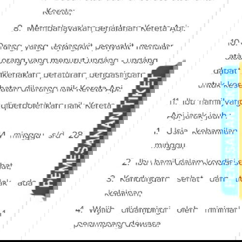 Ibu Hamil Mudik Naik Kereta