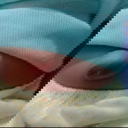 udel bayi