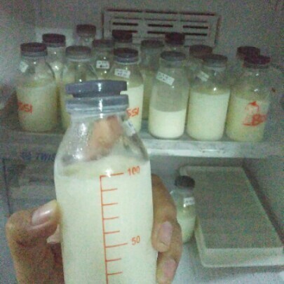 semangat mengASIhi