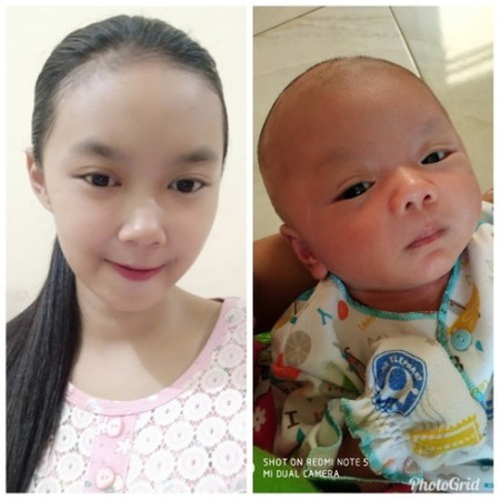 pendapat