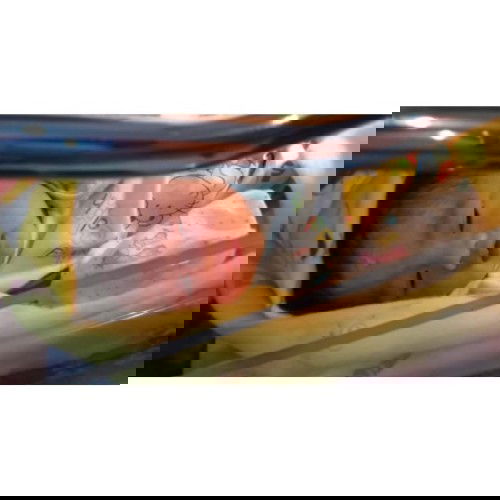 putri cantik di tanggal cantik