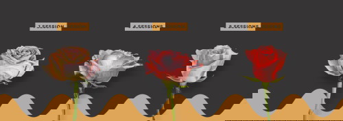 Vagina Kembali Sihat dan Berbau Harum Dengan Rawatan Rosebud Vajuvenation