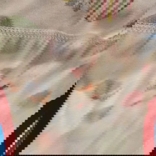 Pipis Darah Pada Bayi