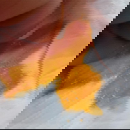 ขอถามแม่ๆค่ะคือน้องได้1เดือนกับ15น้องถ่ายเเบบนี้มาสองสามวันแล้วค่ะวัน1ก็3-4ครั้งกินนมแม่อย่างเดียวค่ะน้องกินนมได้ ปกติไม่งอแงค่ะอยากถามว่าน้องจะเป็นอะไรไหมคะมีแม่คนไหนให้คำแนะนำไหมคือตอนนี้กังวลมาก