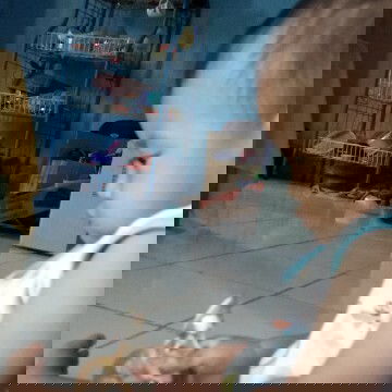 blm bisa berdiri sendiri