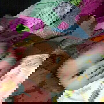 KENAPA HARUS BODY SHIMING